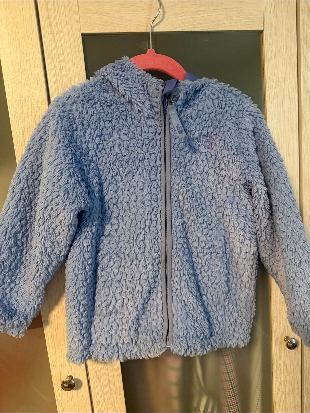 The North Face Light Blue Sherpa Fleece Hoodie